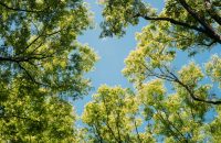 地震より３週間経ちました