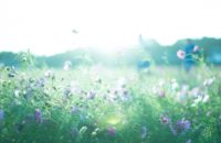 DVのない世界を目指してわたしたちが出来ること