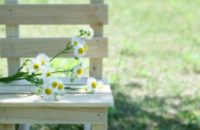 デートDVって知っていますか？