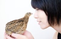 カウンセリングで話すことで心が軽くなるのはなぜ？