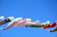 五月病とのやさしい向き合い方